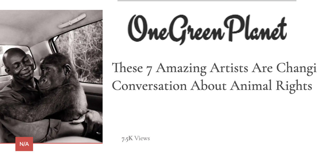 One Green Planet, 2014